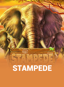 Game Stampede Terpercaya dengan Fitur Terbaik